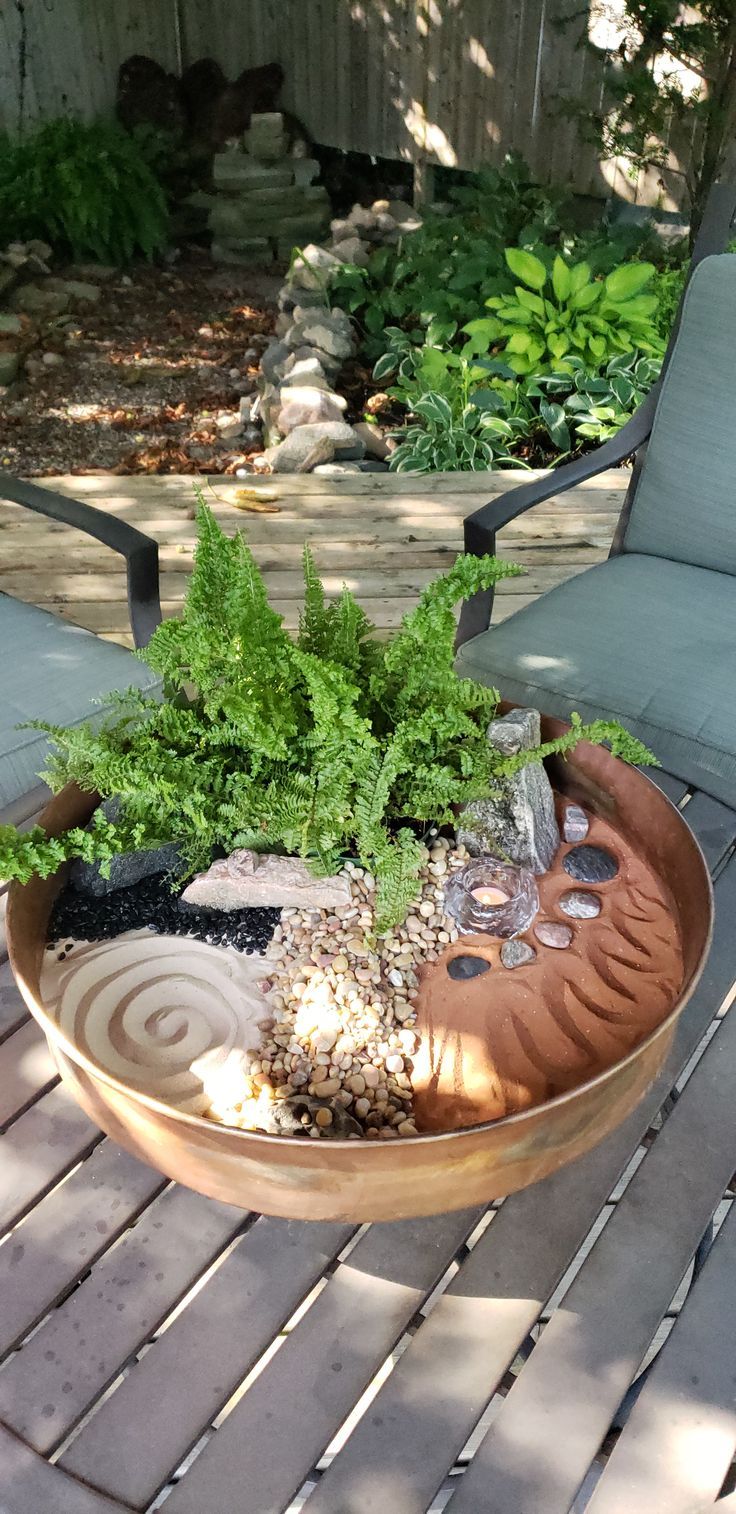 a potted plant sitting on top of a wooden table next to a lawn chair