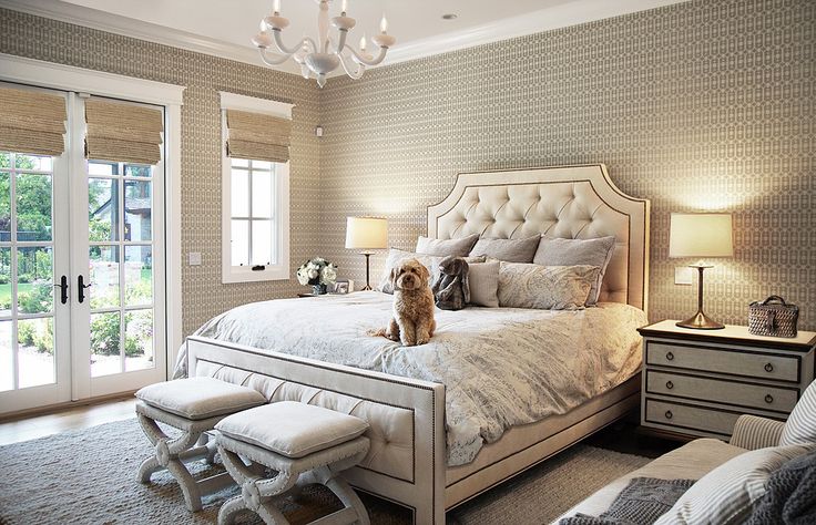 a dog sitting on top of a white bed in a bedroom next to two windows