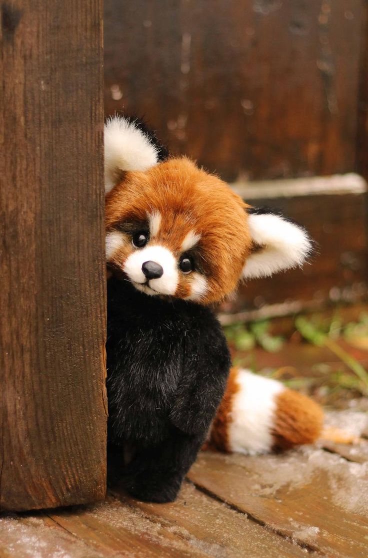 a stuffed red panda bear peeking out from behind a wooden fence