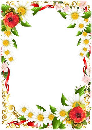 Bright daisies and poppy flowers | Flower frame, Poppy flower, Poppies