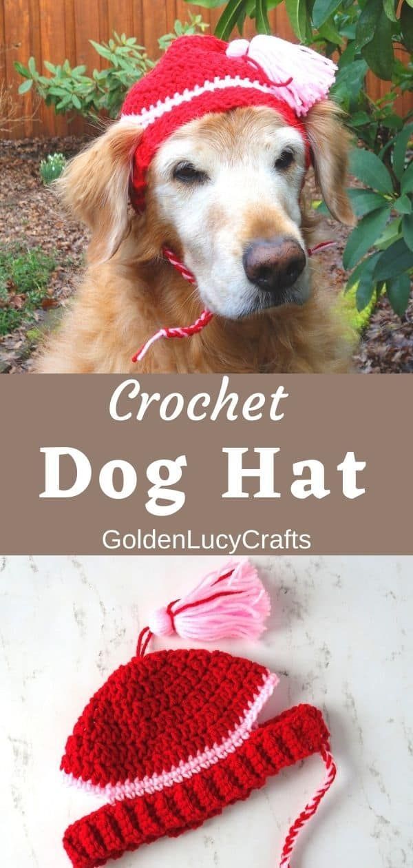 a dog wearing a crochet hat next to a red and white knitted beanie