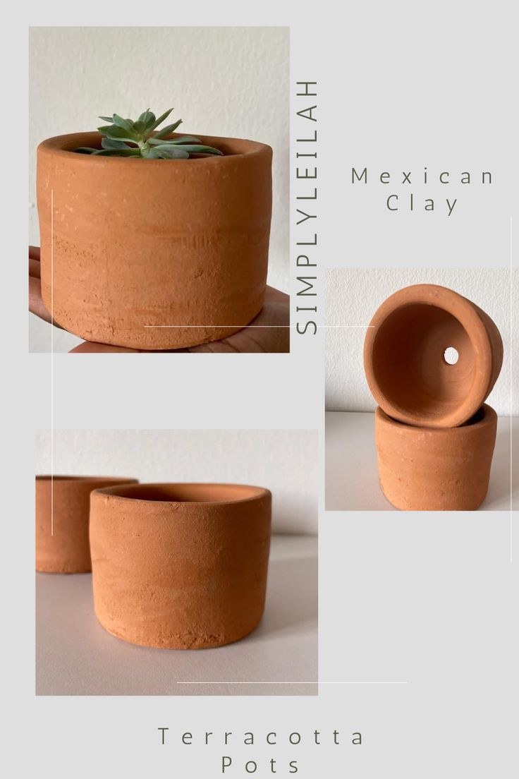 three different views of a clay pot with a succulent plant in the middle