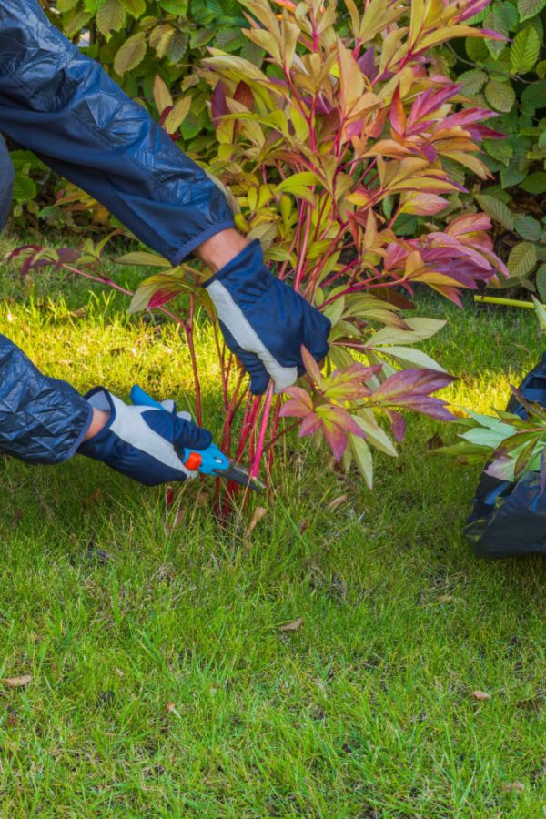 two people in blue rain suits are weeding the grass with their feet and hands