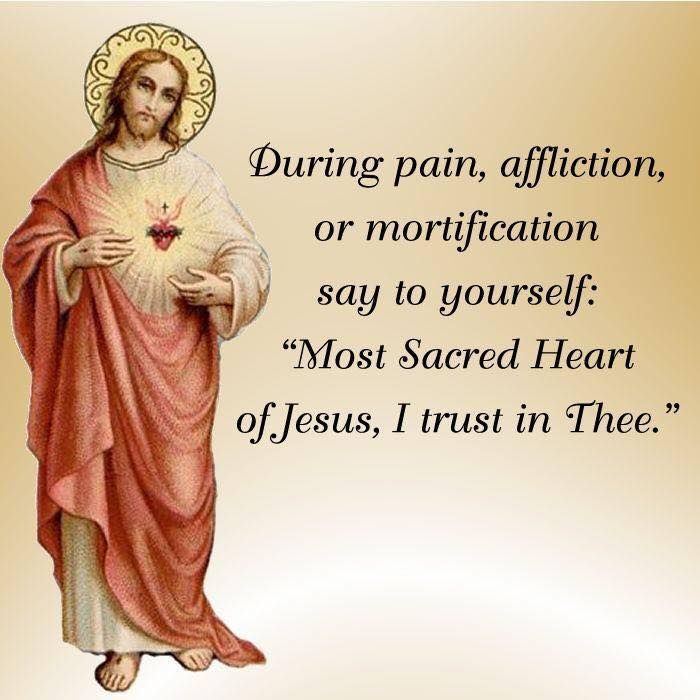 Nicola Kanaan (@RosaryMysteries) | Twitter Most Sacred Heart Of Jesus, Saint Quotes Catholic, Religious Pictures, Sacred Heart Of Jesus, Saint Quotes, Jesus Christ Images, Divine Mercy, Catholic Quotes, Heart Of Jesus