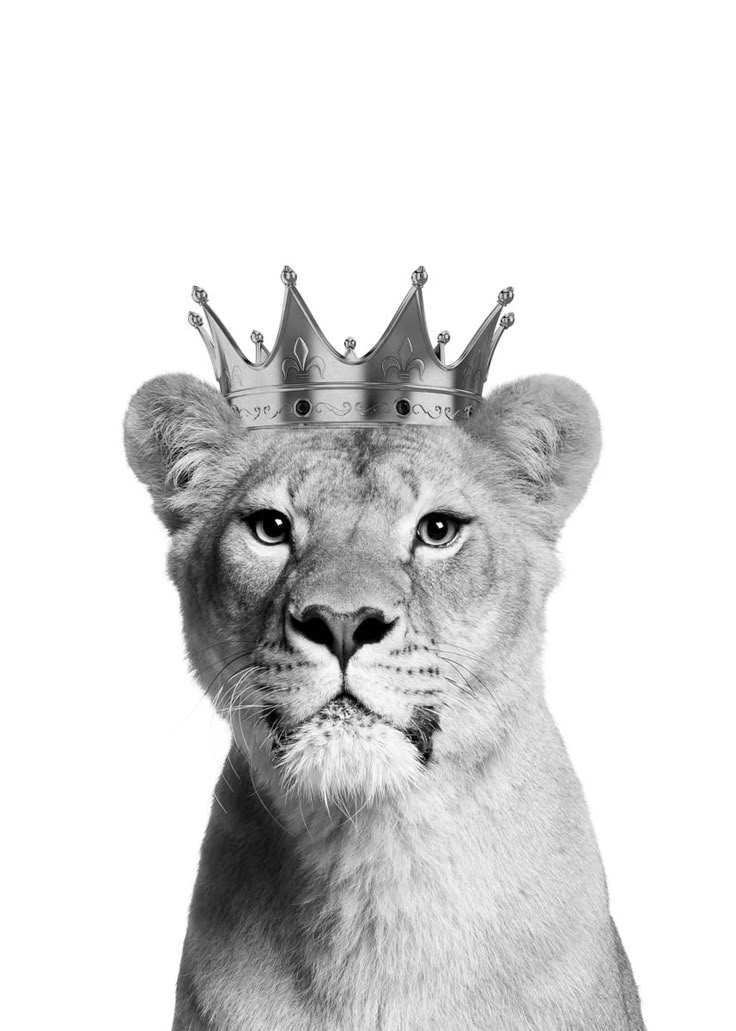 a black and white photo of a lion with a crown on it's head