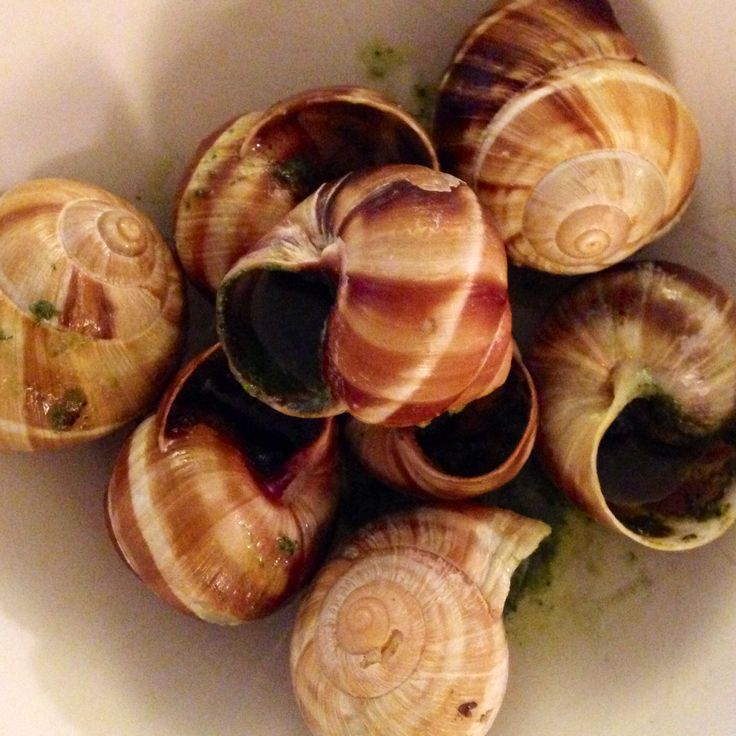 several clams in a white bowl with green stuff on the bottom and one shell