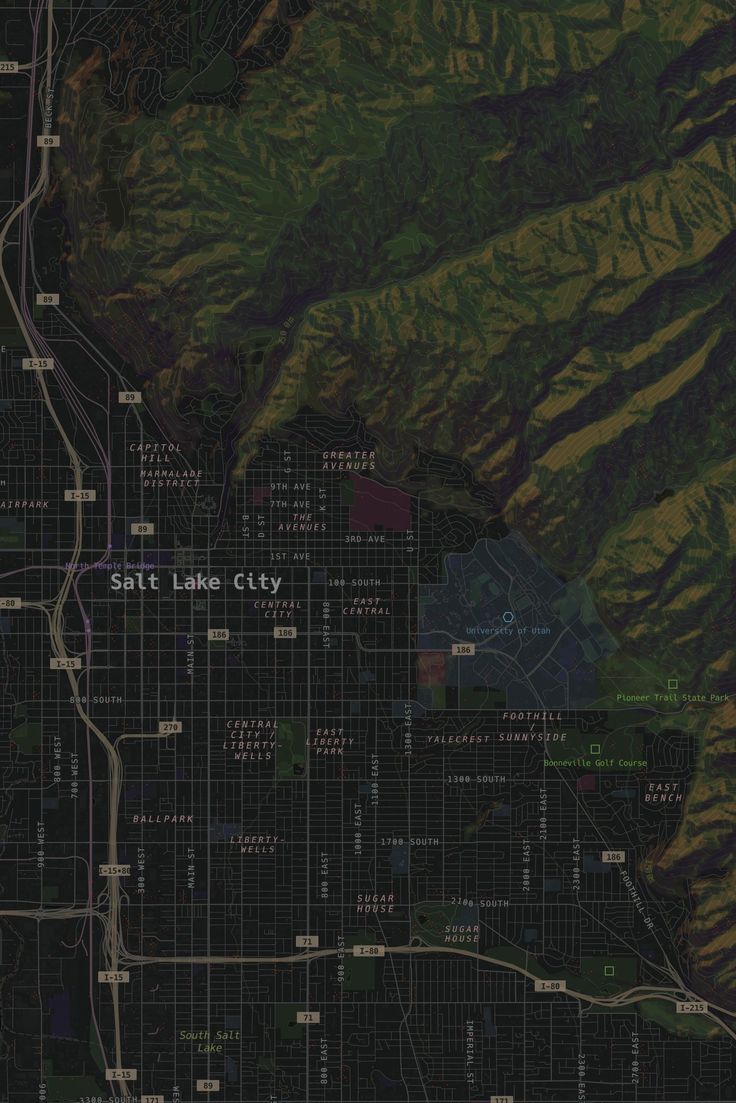 a map of salt lake city with mountains in the background