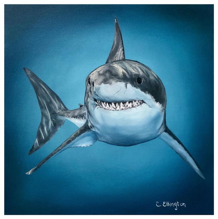 a painting of a shark with it's mouth open