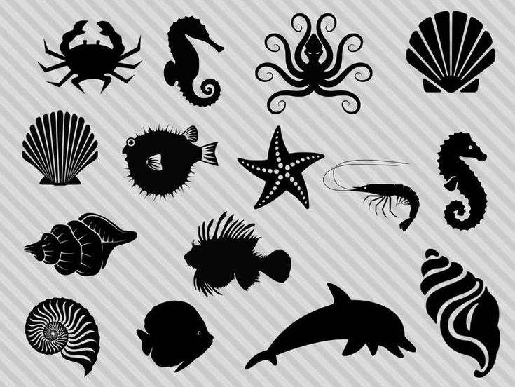 the silhouettes of sea animals and seashells