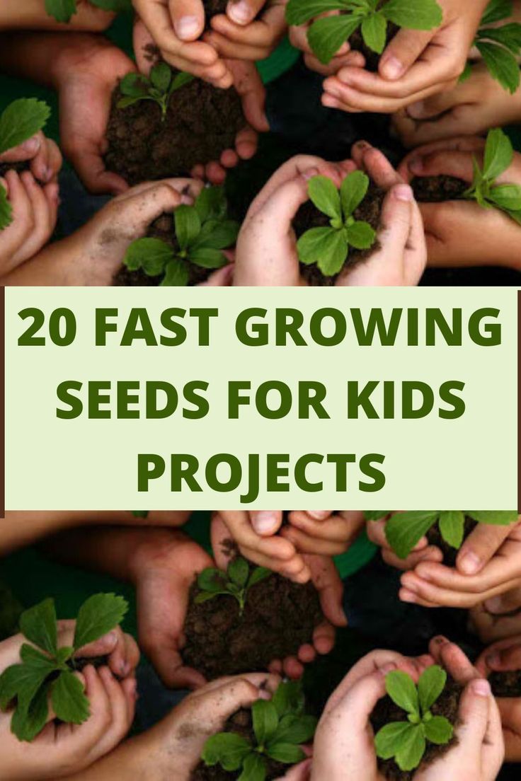 many hands holding plants with the words 20 fast growing seeds for kids projects on them