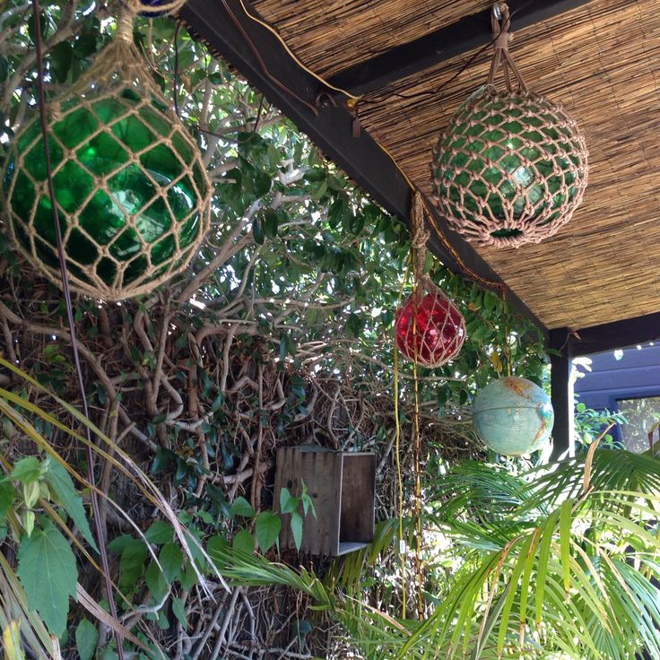 some balls hanging from the roof of a house with plants growing around them and in front of it