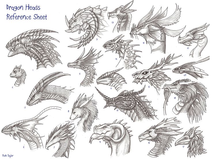 dragon heads reference sheet for the game's character model, which is drawn in pencil