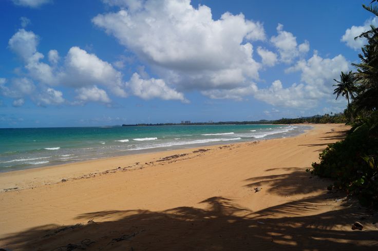 a sandy beach next to the ocean under a blue sky with white clouds and palm trees