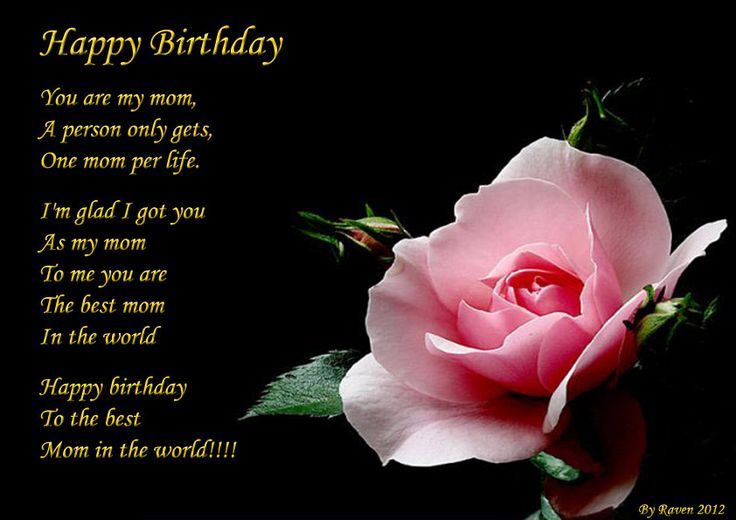 a pink rose with the words happy birthday on it