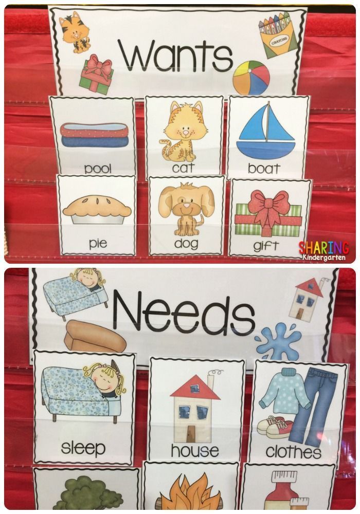 Wants And Needs with A FREEBIE Sharing Kindergarten Kindergarten Social Studies Preschool 