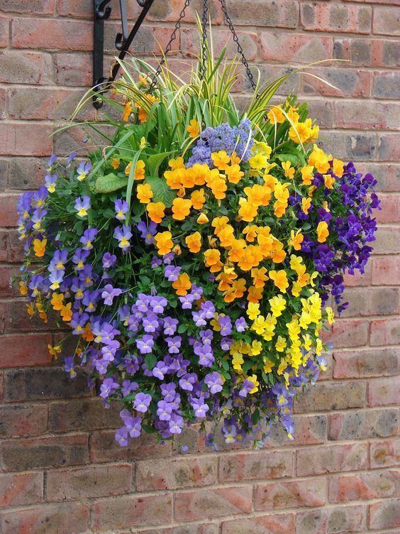 a hanging basket filled with colorful flowers on a brick wall