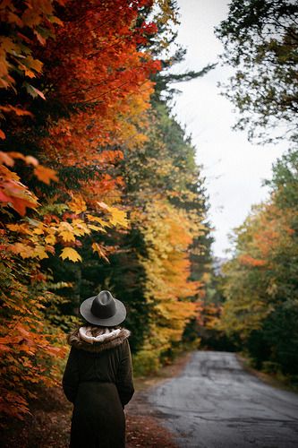 a woman standing on the side of a road surrounded by trees with orange and yellow leaves