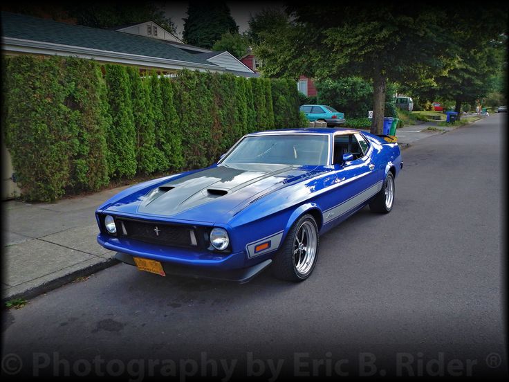 a blue car parked on the side of a road next to a tree and bushes