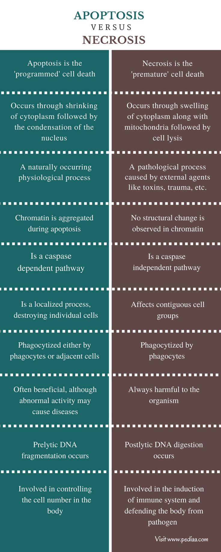 two different types of neurosis and the same type of neurosis, both with