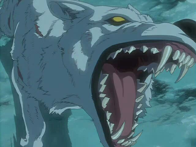 a white wolf with its mouth open and it's teeth wide open in the water