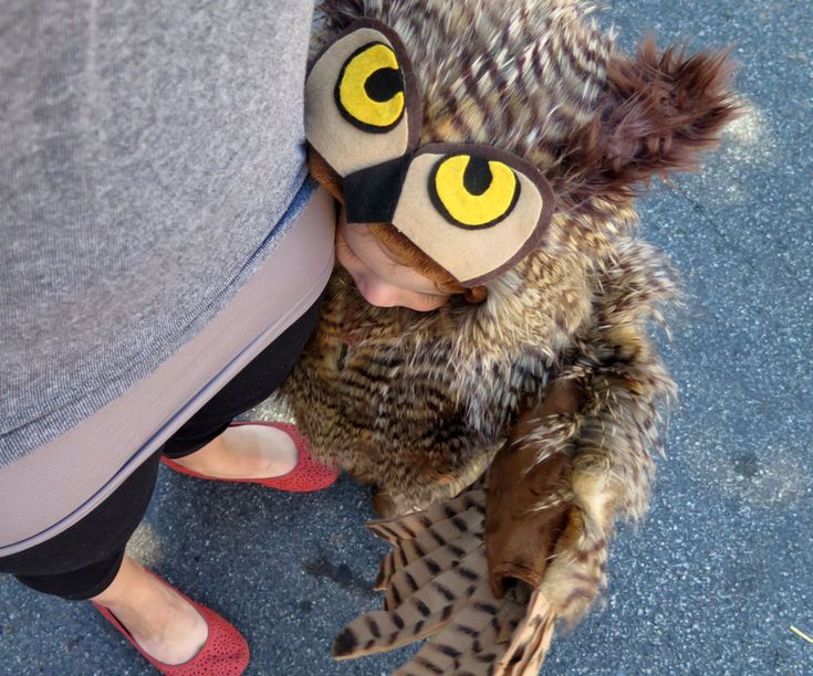 Make an Owl Costume | Owl costume, Owl halloween costumes, Owl costume kids