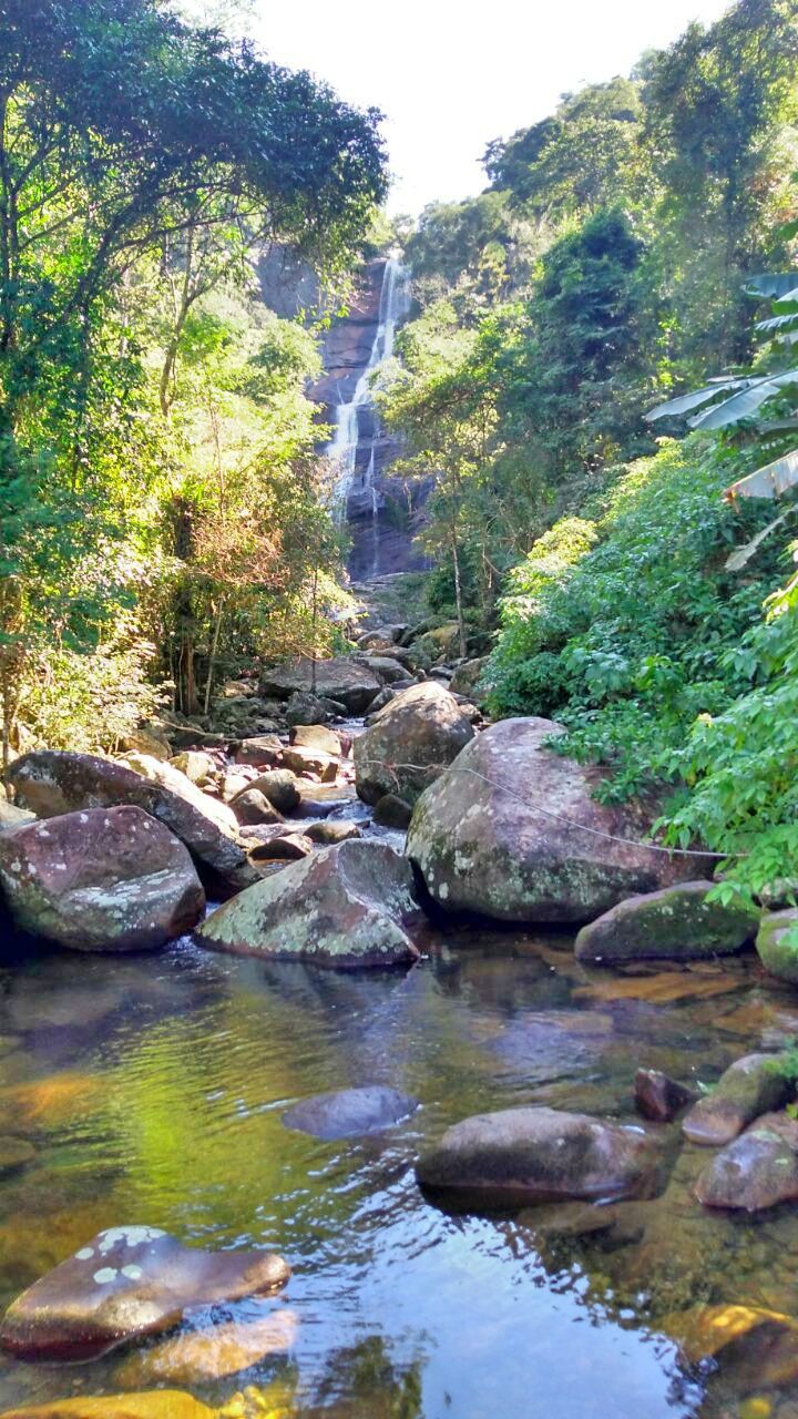 a small waterfall in the middle of a forest with rocks and trees around it,