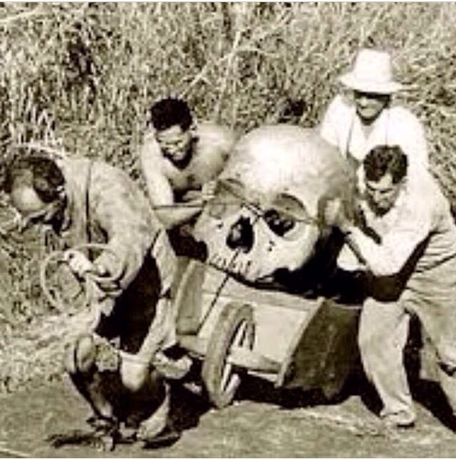 three men are working on an object in the grass