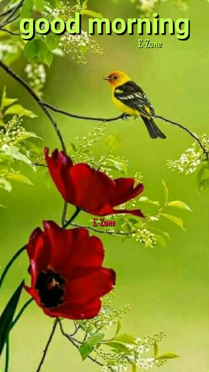 a bird sitting on top of a tree branch next to red flowers