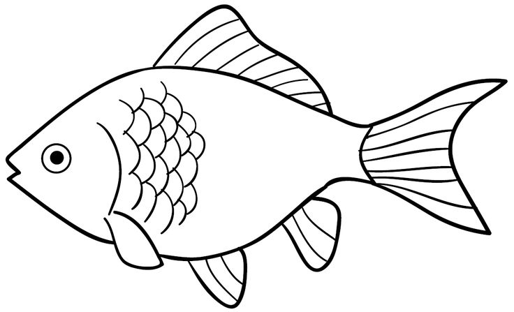 Download 58+ Gambar Ikan Outline HD Terpopuler | Fish clipart, Fish ...