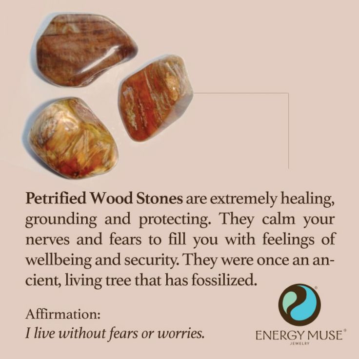 Petrified Wood Stone, Discover the Petrified Wood Meaning and Healing Properties at Energy Muse Energy Muse, Gemstone Meanings, Crystal Energy, Crystal Therapy, Crystal Healing Stones, Crystal Magic, Wood Stone, Crystal Meanings, Rocks And Gems