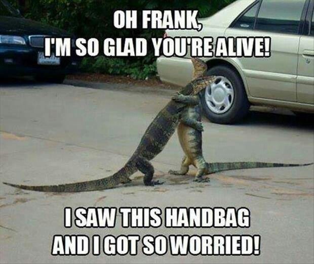 a lizard that is standing on its hind legs with the caption saying, oh frank i'm so glad you're alive i saw this handbag and i got so worried