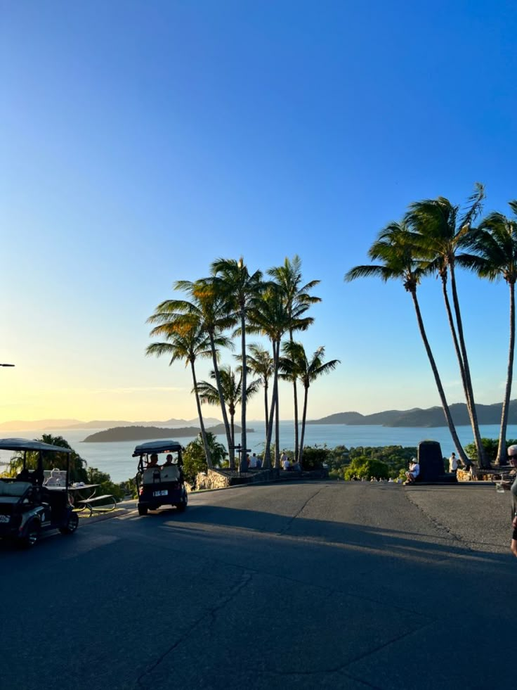 a golf cart driving down the road near palm trees