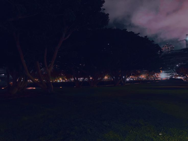 fireworks are lit up in the night sky over a grassy area with trees and buildings