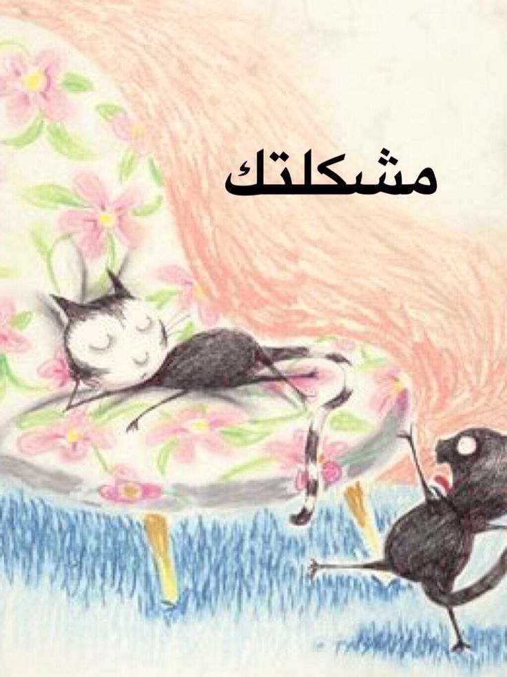 a drawing of a black cat chasing a white cat on a pink and blue chair