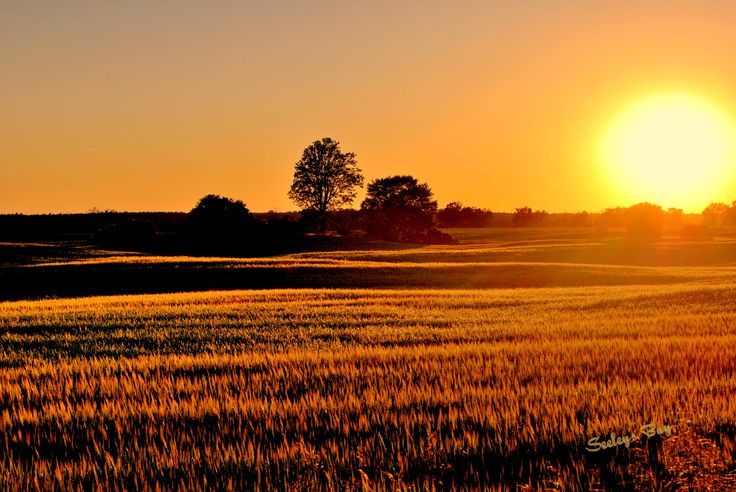 the sun is setting over an open field