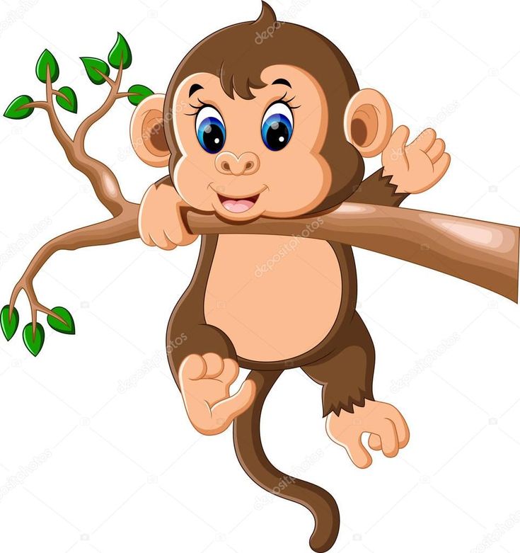 a monkey hanging on a tree branch