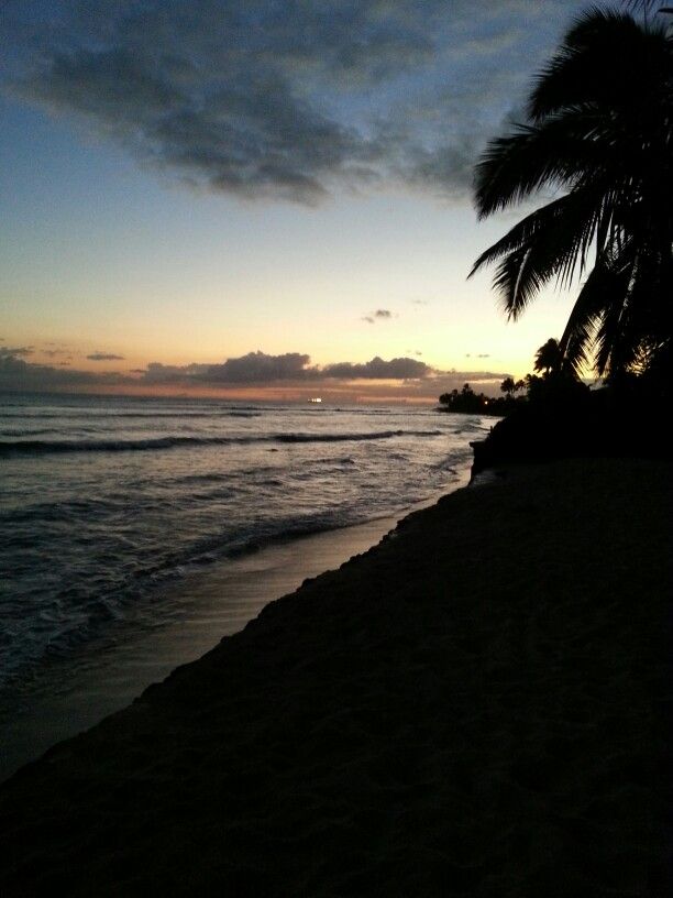 the sun is setting over the ocean with palm trees