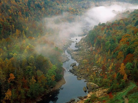 an aerial view of a river surrounded by trees in the fall and foggy weather