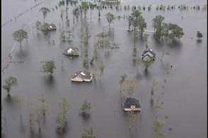 several boats are in the water surrounded by flood waters and trees that have been flooded