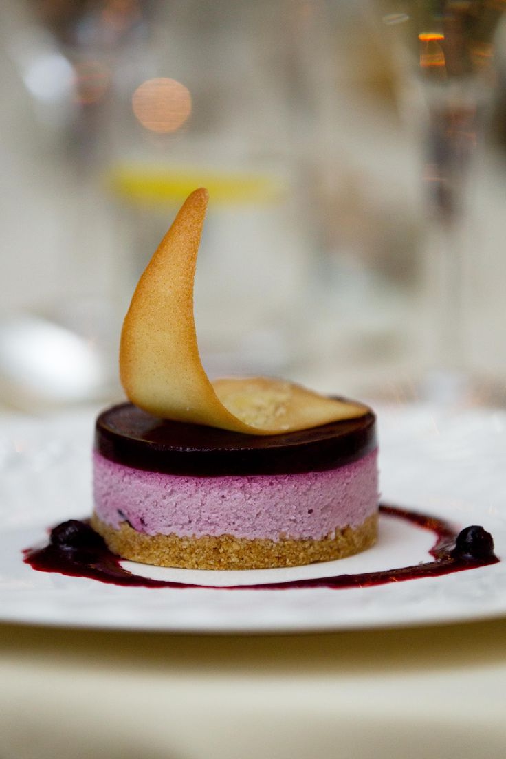 there is a small dessert on the plate with blueberry sauce and an apple slice