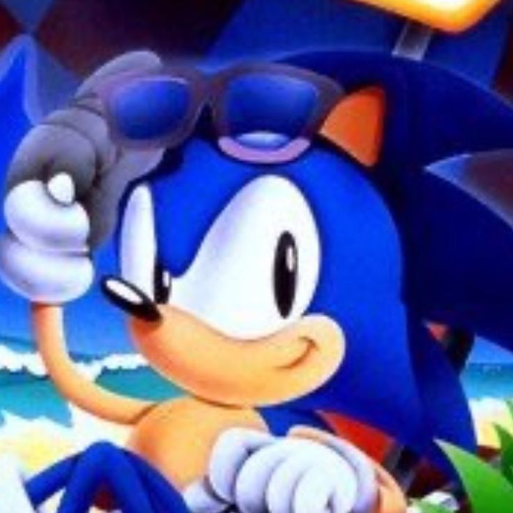 sonic the hedgehog is sitting in front of a computer screen