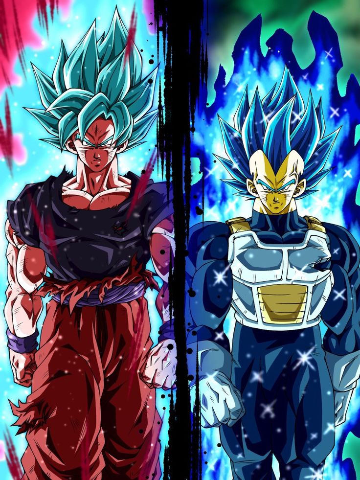 the two characters from dragon ball are facing each other