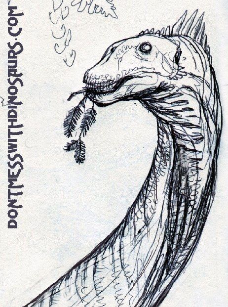 a drawing of a dragon eating something in its mouth with the caption's name on it