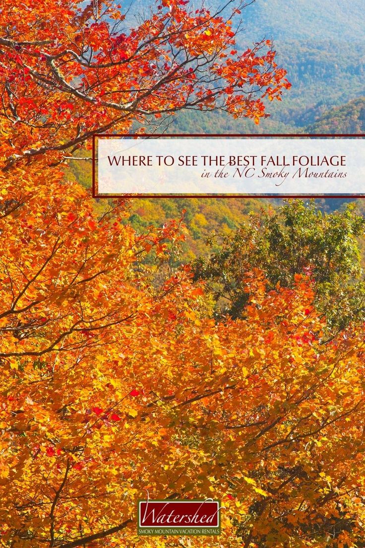 the cover of where to see the best fall foliage