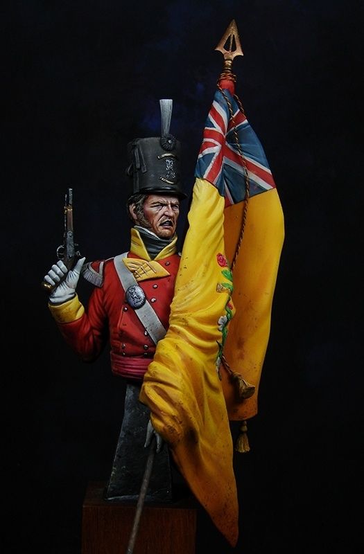 28th Foot Ensign Waterloo Waterloo 1815, British Army Uniform, British Uniforms, Battle Of Waterloo, Military Modelling, Army Uniform, Napoleonic Wars, Miniature Figures, British Army