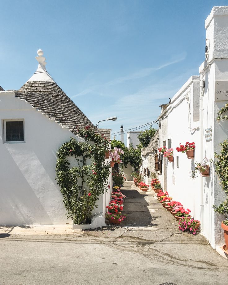 an alley way with white buildings and pink flowers