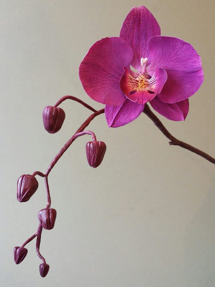 a purple flower is in a glass vase