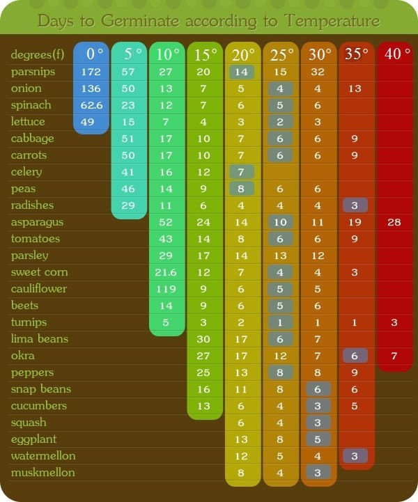 Printable Seed Germination Chart