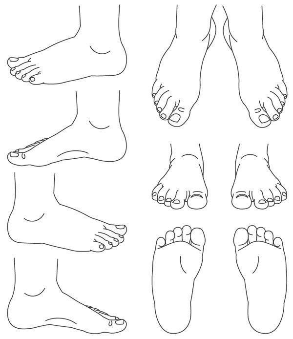 an image of feet and toes in different positions