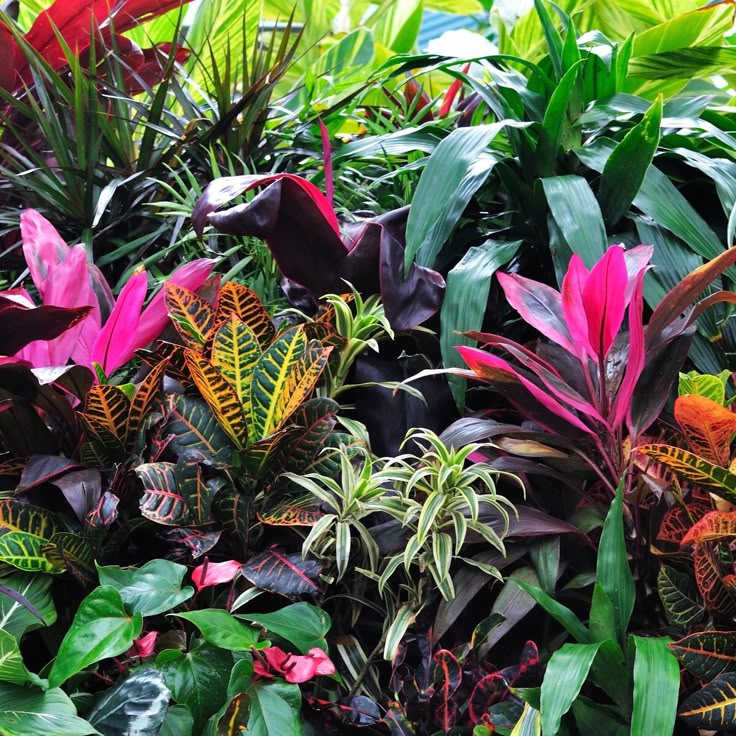 many different types of plants growing on the side of a building